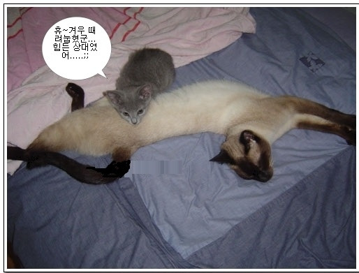 dsc00151 - 복사본.jpg