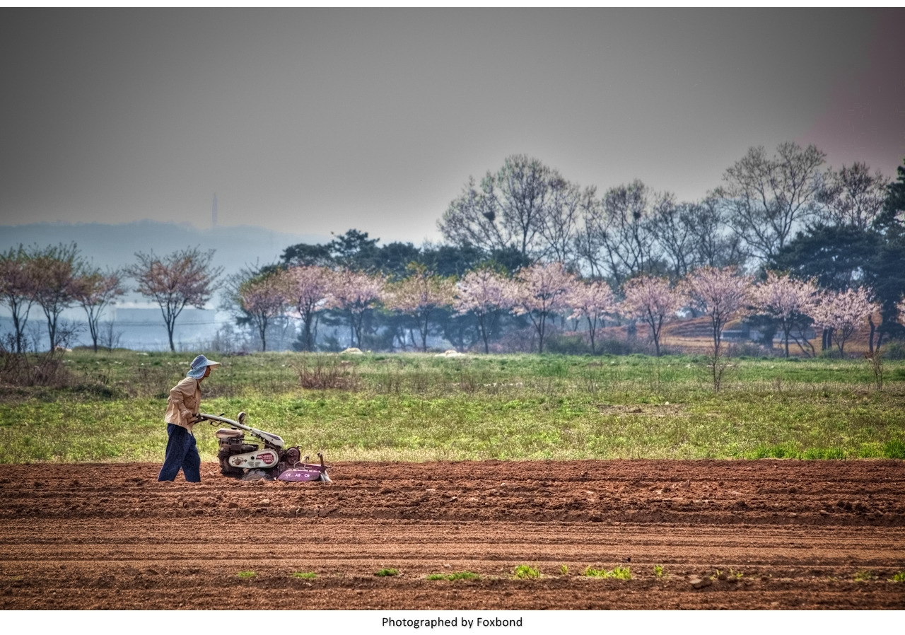 photographed by Foxbond.jpg