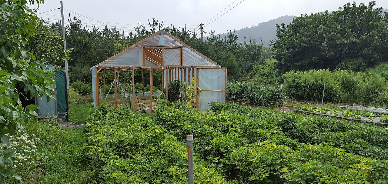 텃밭사진 브런치.jpg