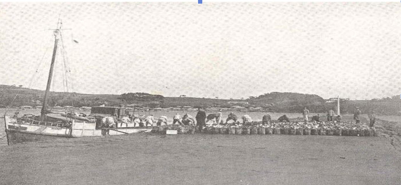 화면 캡처 2025-05-24 072608.jpg