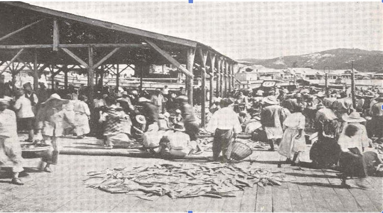 화면 캡처 2025-05-03 192711.jpg