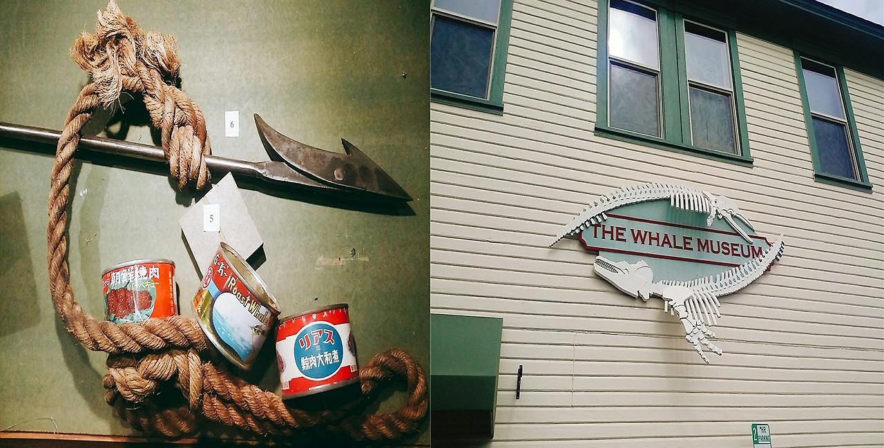 화면 캡처 2025-06-23 123351.jpg