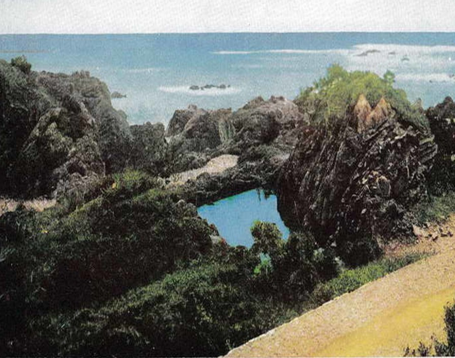 화면 캡처 2025-06-19 102445.jpg