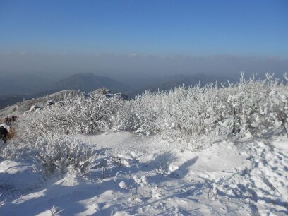 바탕화면 2597.jpg