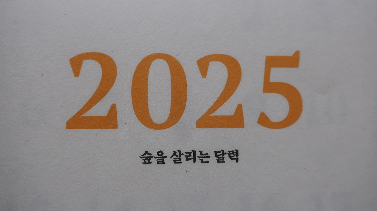 카지노 쿠폰