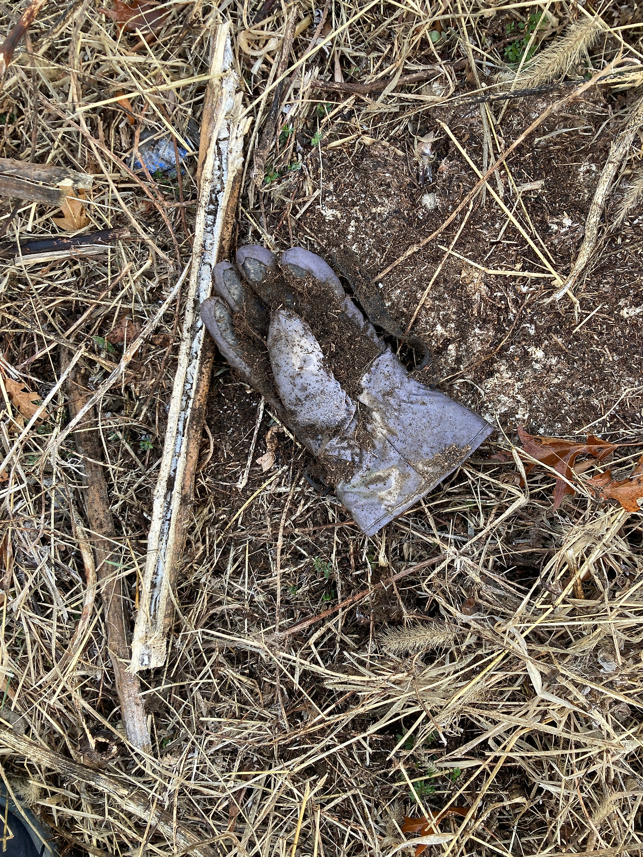 6. 별의별 쓰레기들 (3).jpg