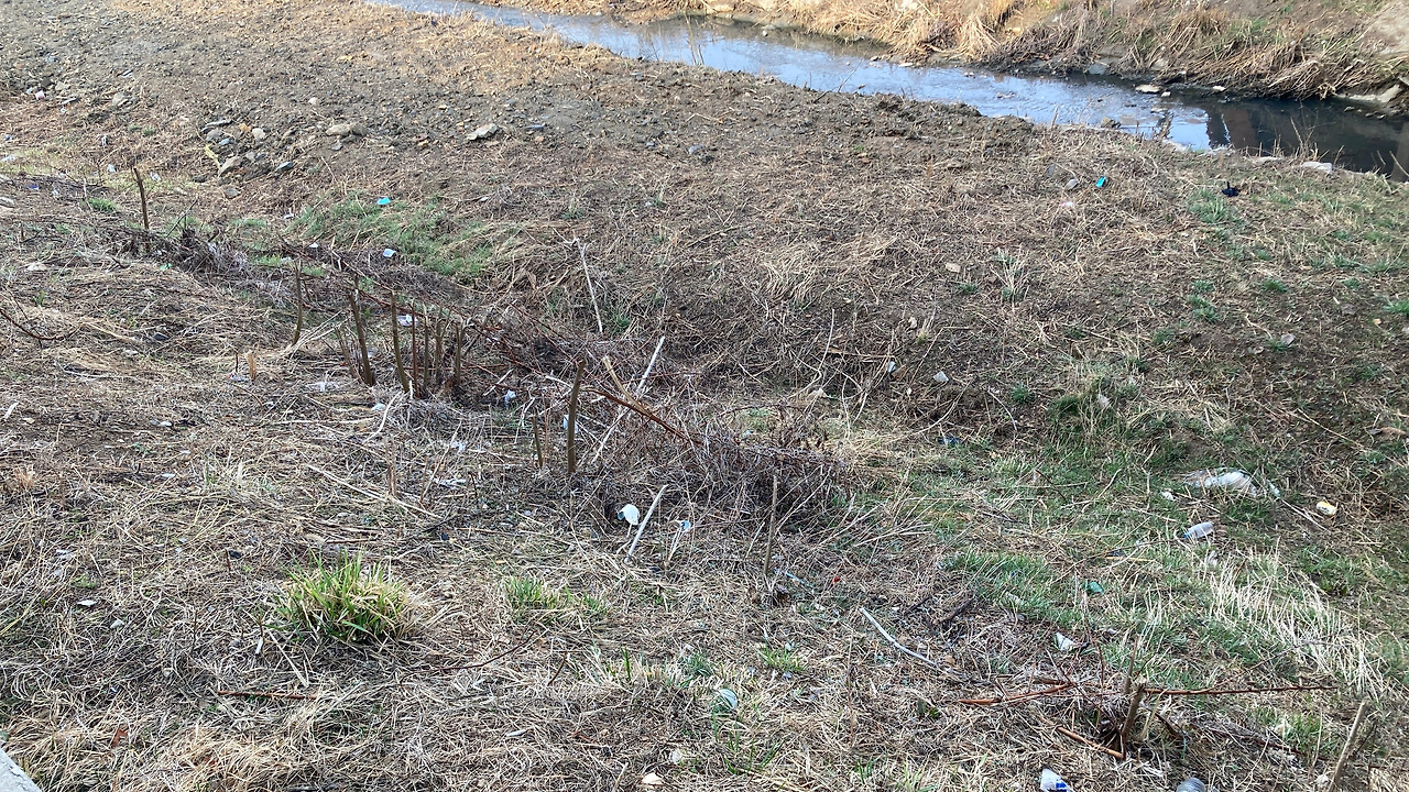 2. 쓰레기가 가득한 월인천 개울가jpg (1).jpg