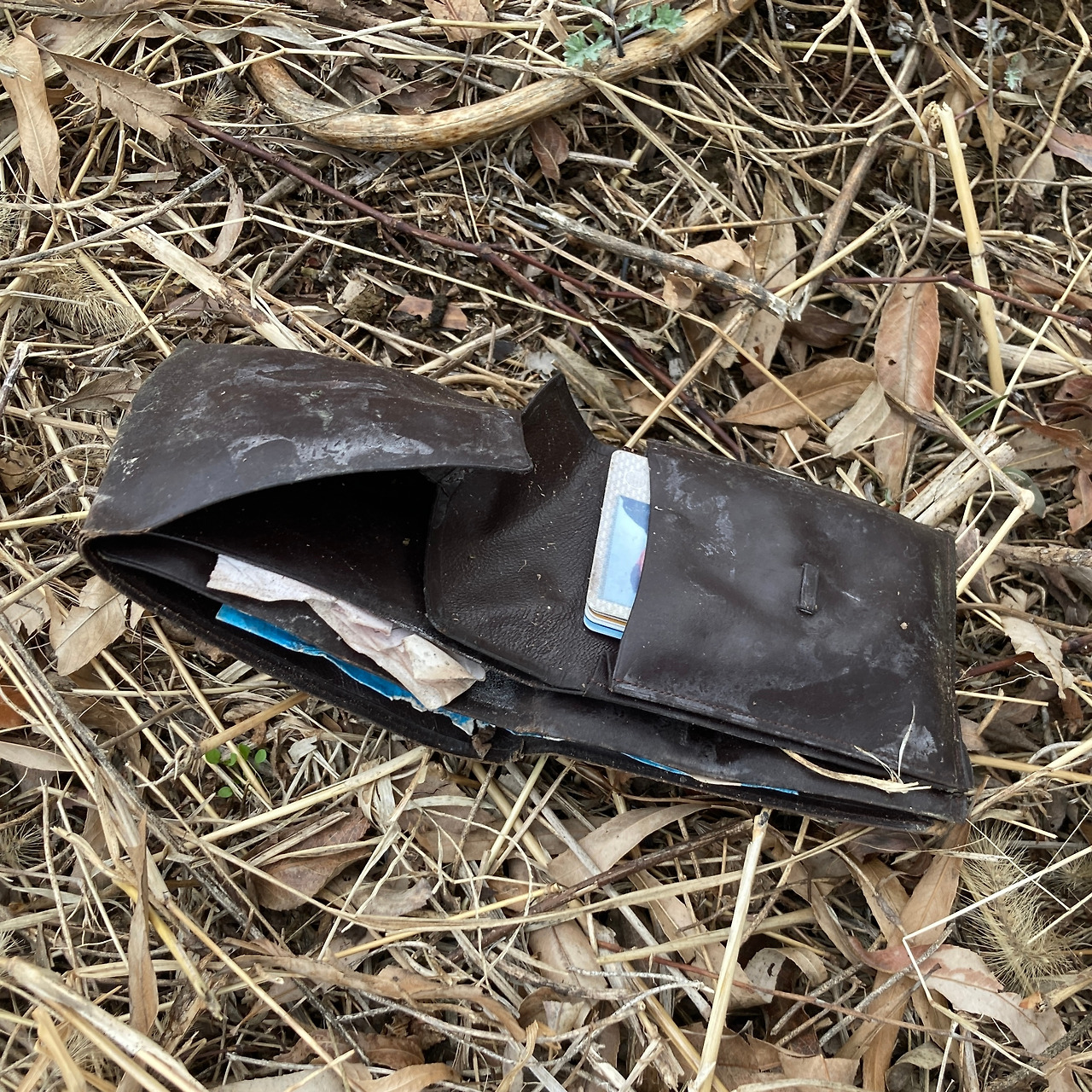 6. 별의별 쓰레기들 (5).jpg