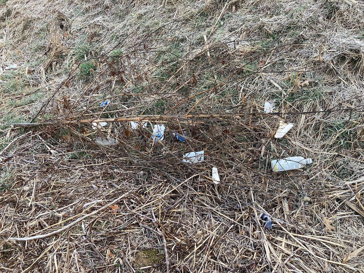 2. 쓰레기가 가득한 월인천 개울가jpg (5).jpg