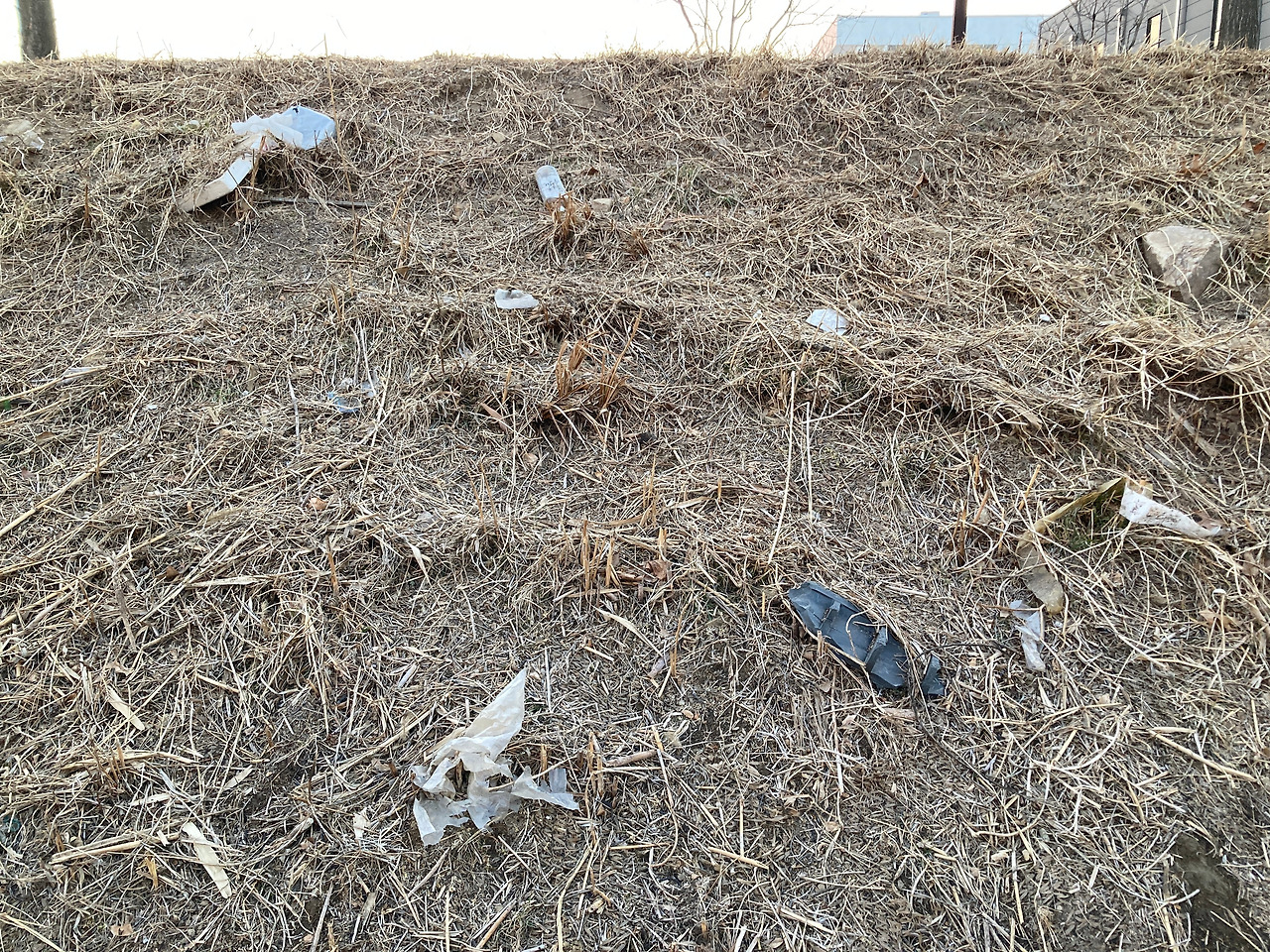 2. 쓰레기가 가득한 월인천 개울가jpg (2).jpg