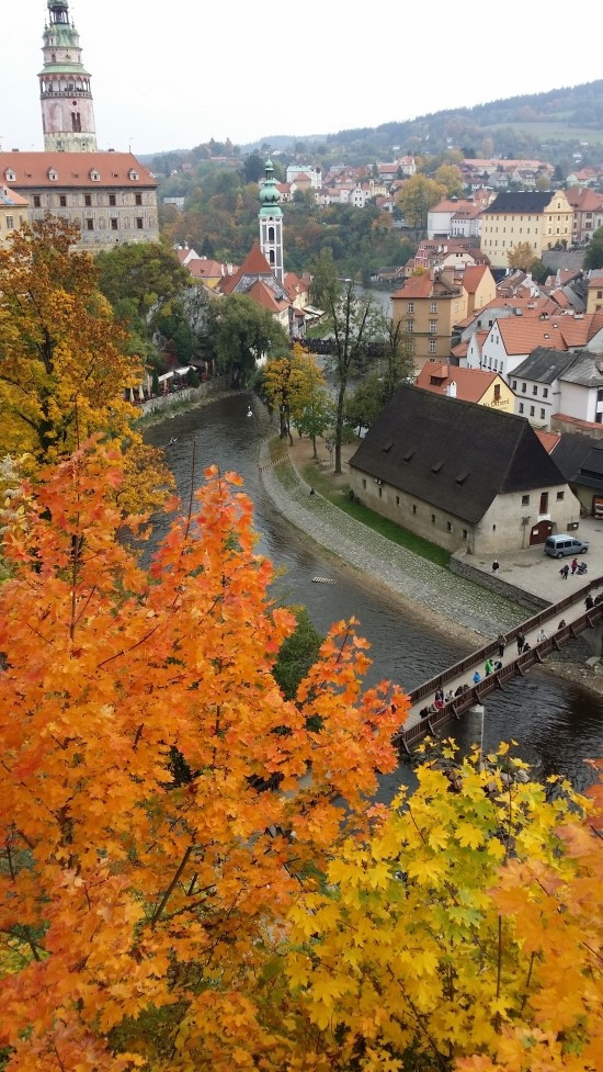 20151010_133417 - 복사본.jpg