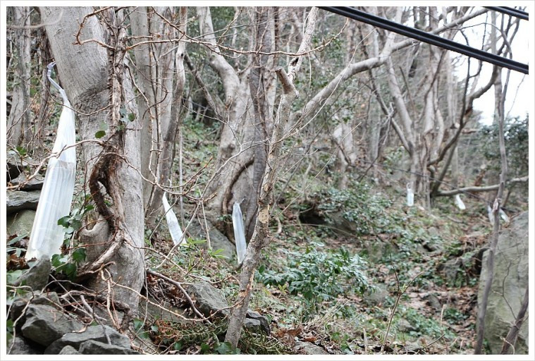 다운로드 (6).jpg