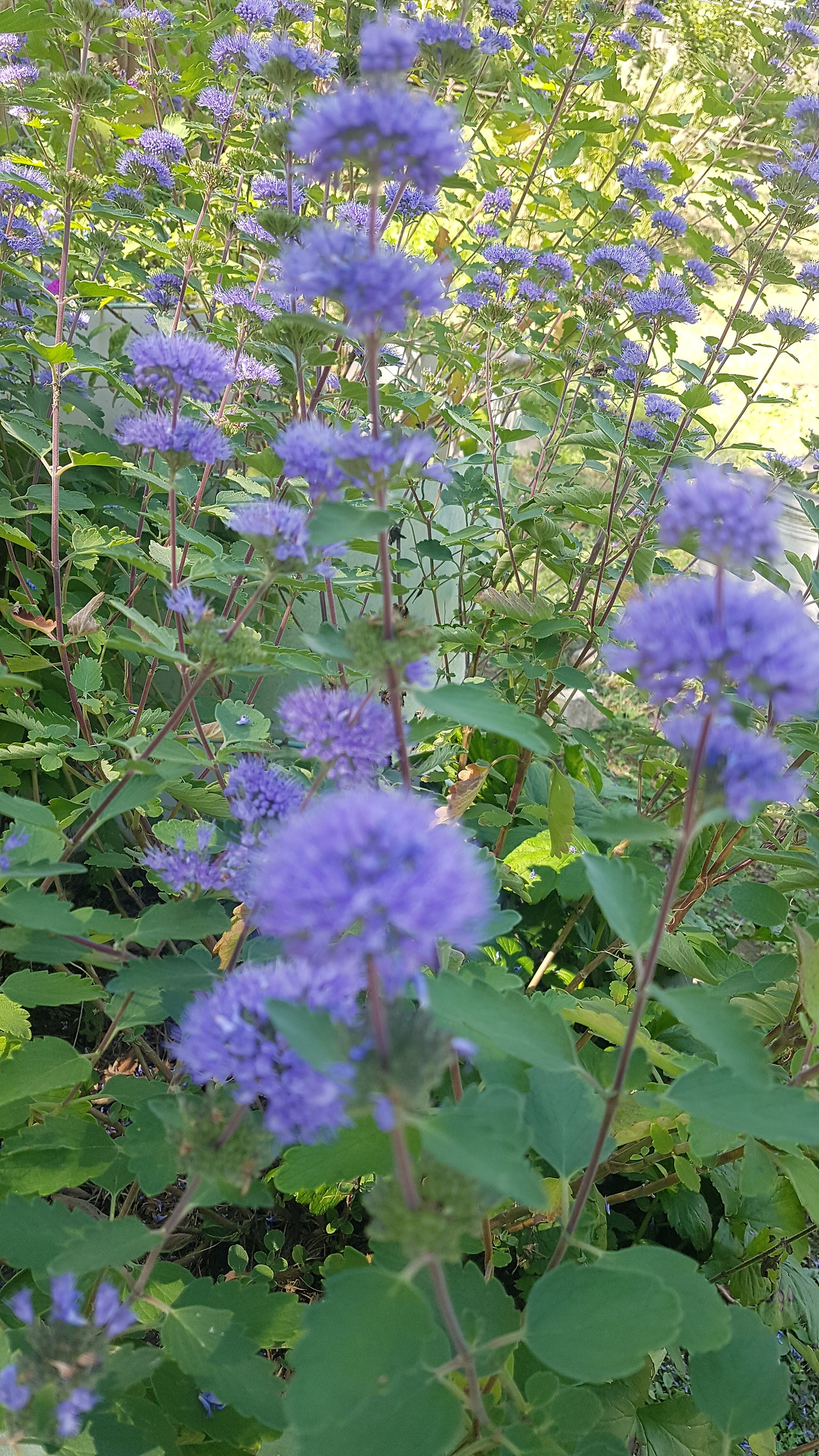 20220921_132228 (1).jpg