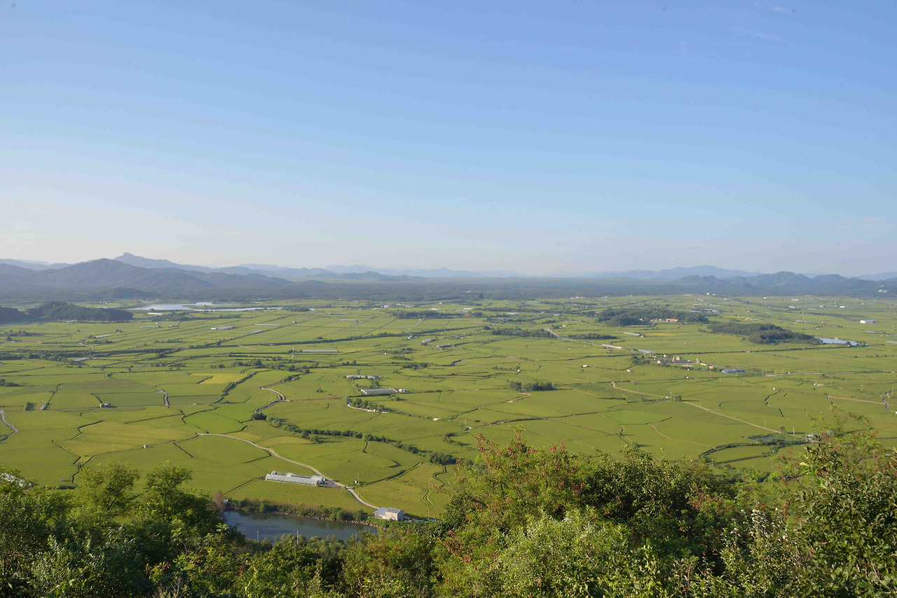 2025-1224-이상한 숲-소이산에서 바라본 철원평야 풍경-이학균.jpg