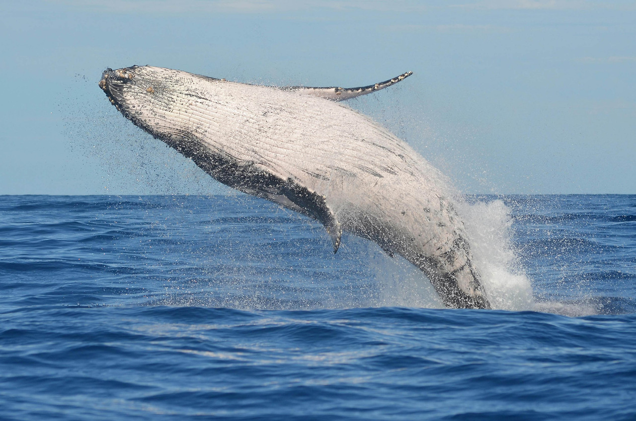 2025-1217-슬픔의 방정식1-pexels-aurore-murguet.jpg