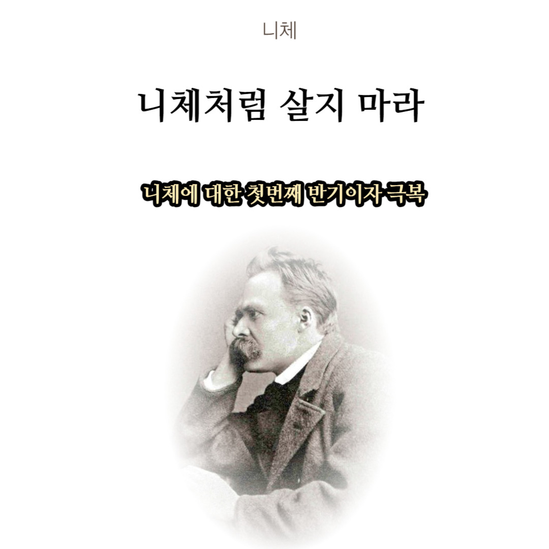니체처럼 살지 마라-001 (1).jpg