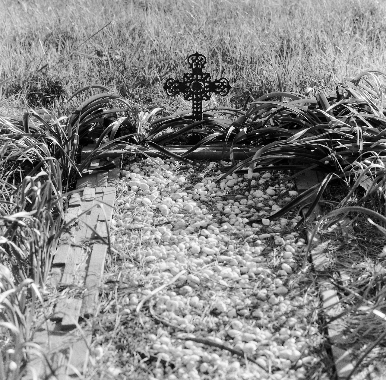 Harry Merriman, Grave, 2020, Inkjet Print, 50x50cm, $500.jpg