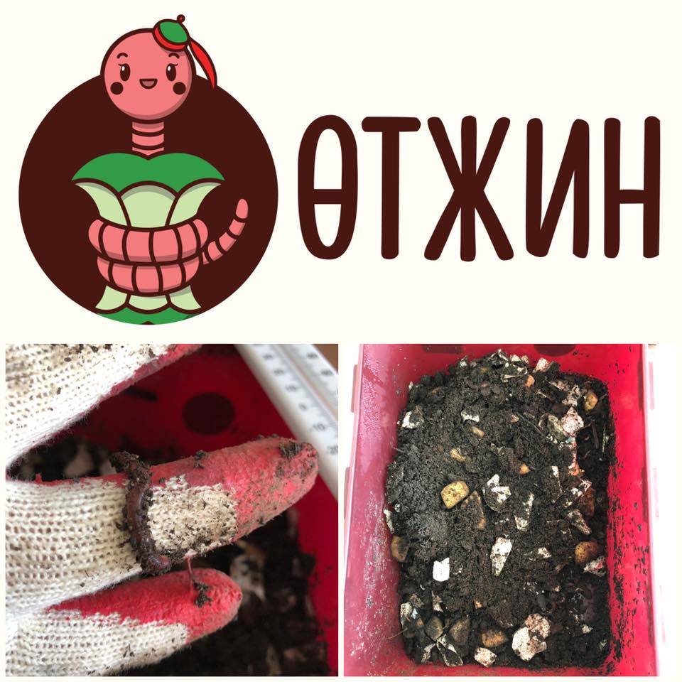 작은 지렁이 실사 4.jpg