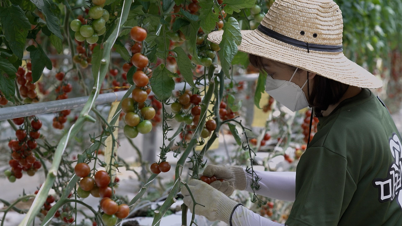 마비노기 푸르메소셜팜 봉사활동 사진 (1).jpg