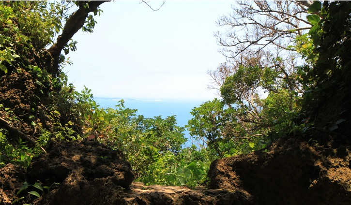 Screenshot 2020-07-07 at 19.55.21.jpg