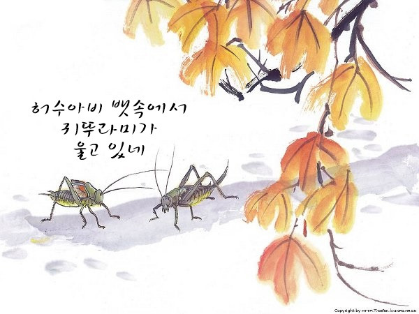 귀뚜라미가 울고 있네.jpg