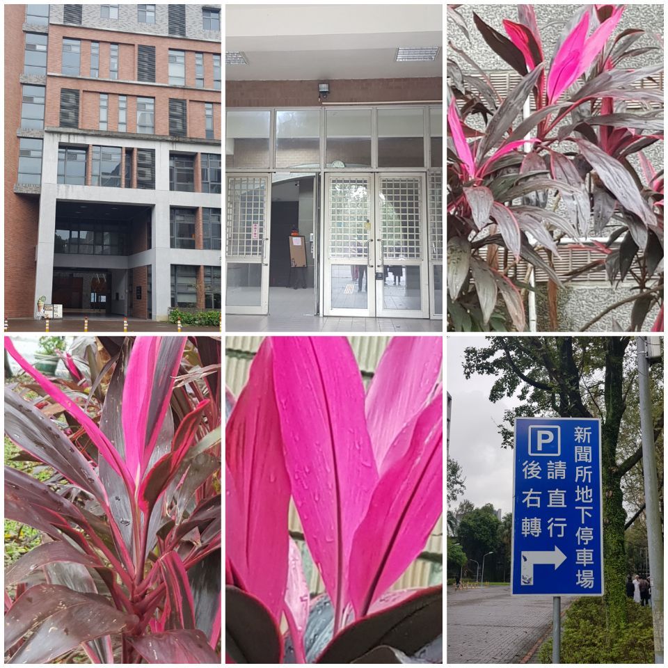 대만대학교 외곽.jpg