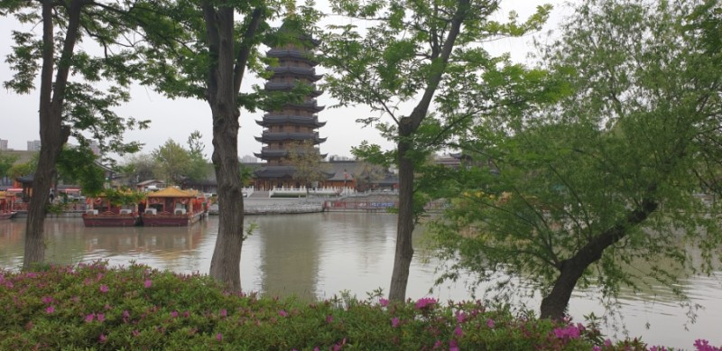 회안공원 호수둔덕철쭉.jpg