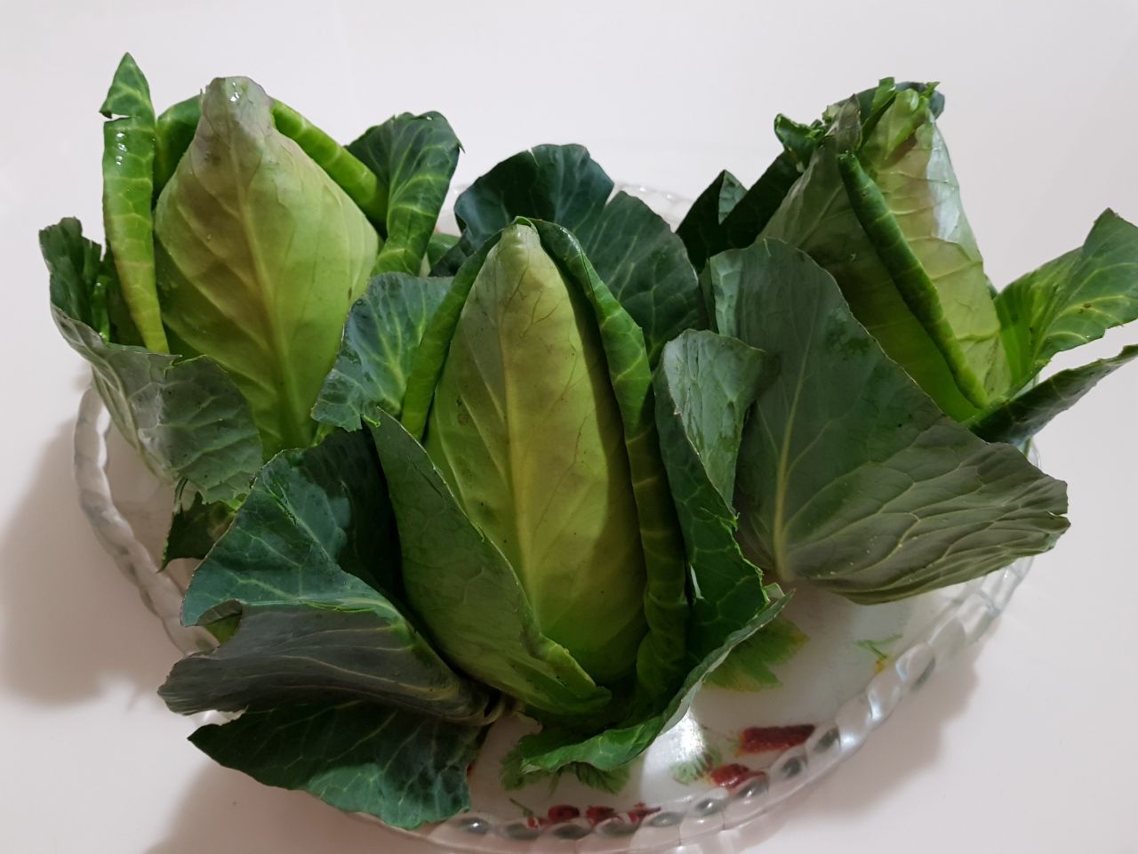 고깔양배추4.jpg