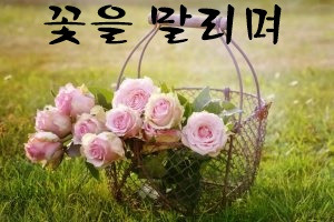 꽃을 말리며3.jpg