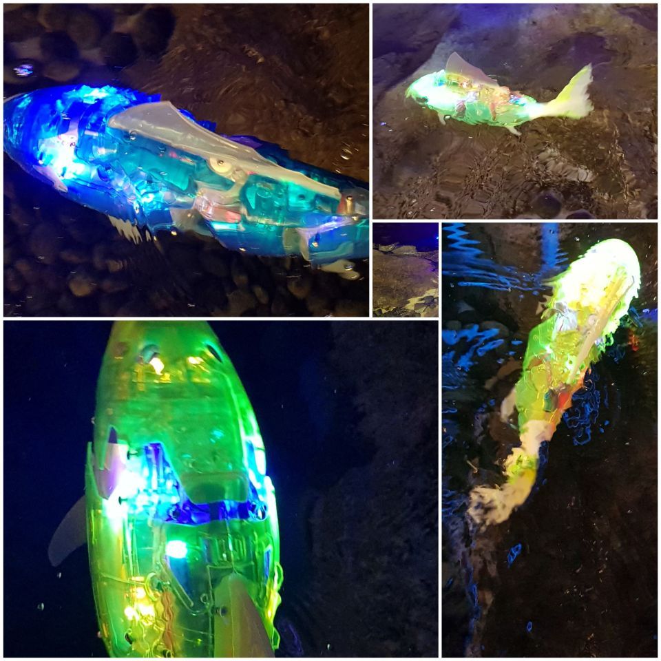 광명동굴 로봇물고기.jpg