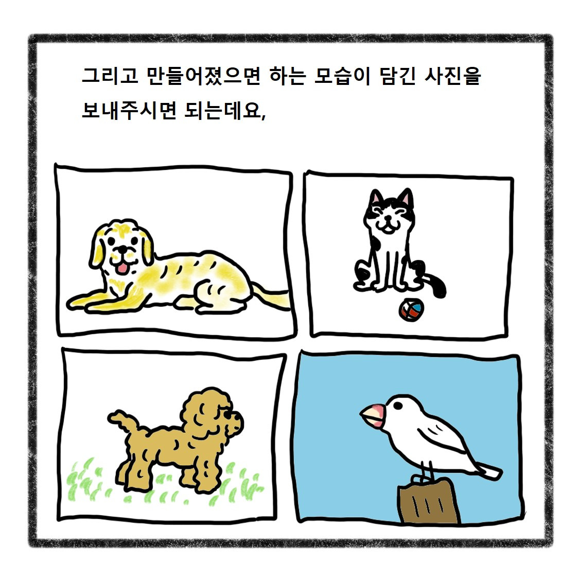 반려동물사진(3).jpg