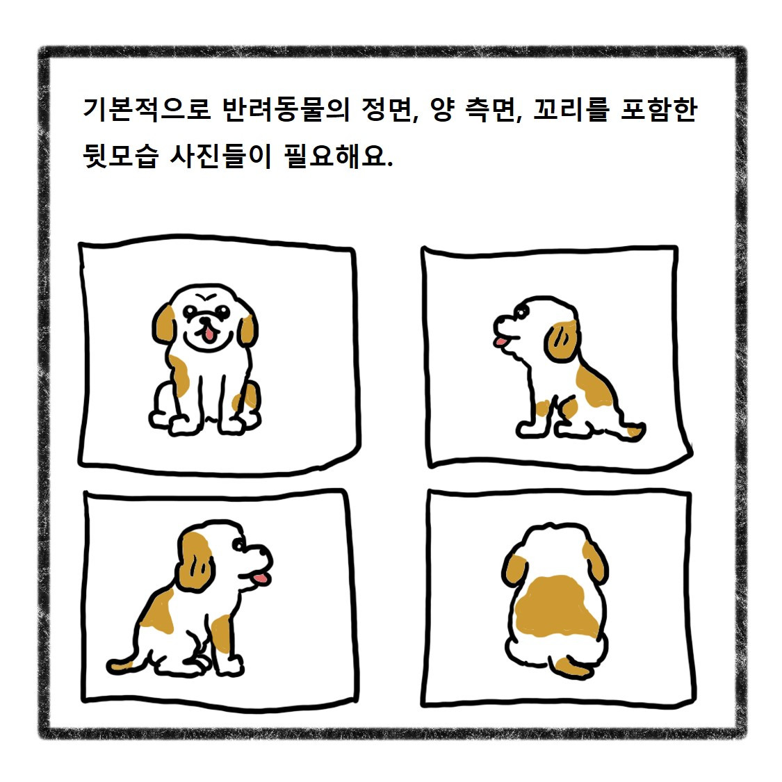 반려동물사진(2).jpg
