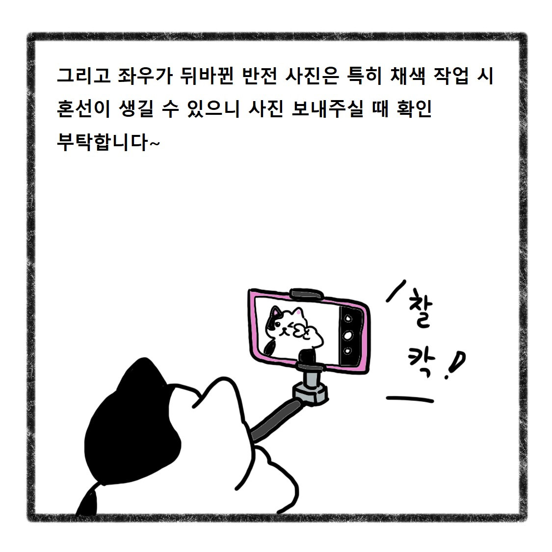 반려동물사진(11).jpg
