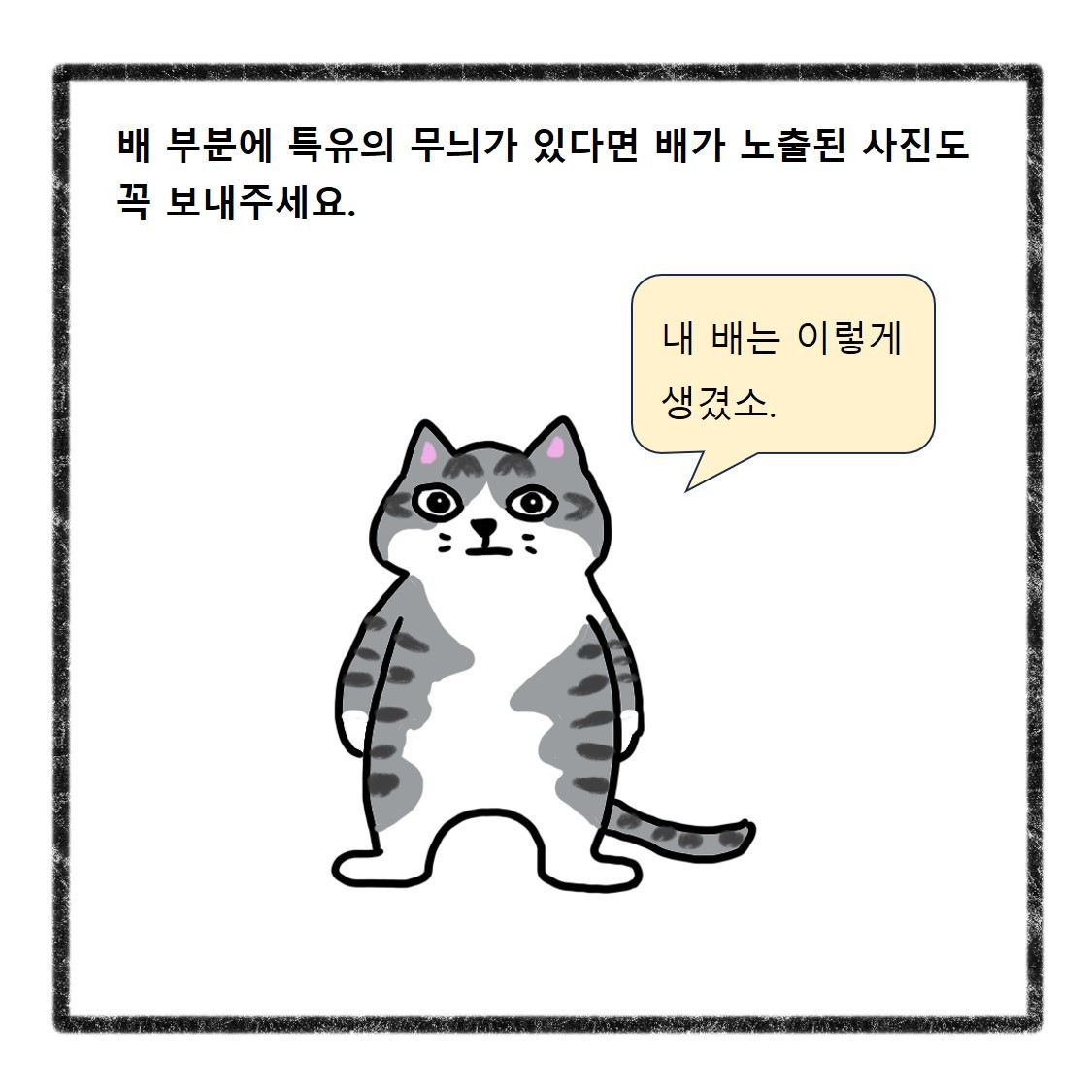 반려동물사진(8).jpg