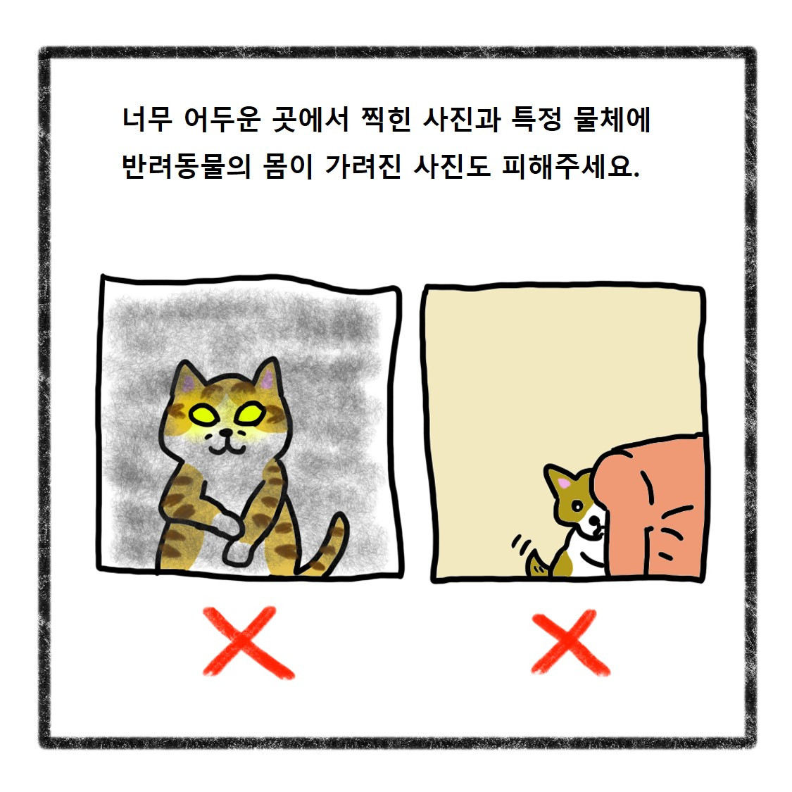 반려동물사진(10).jpg