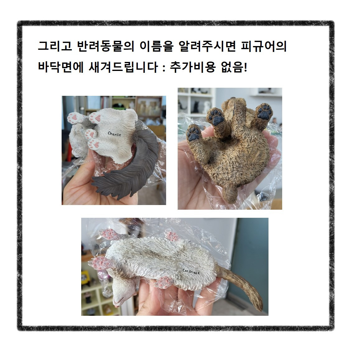 반려동물사진(13).jpg