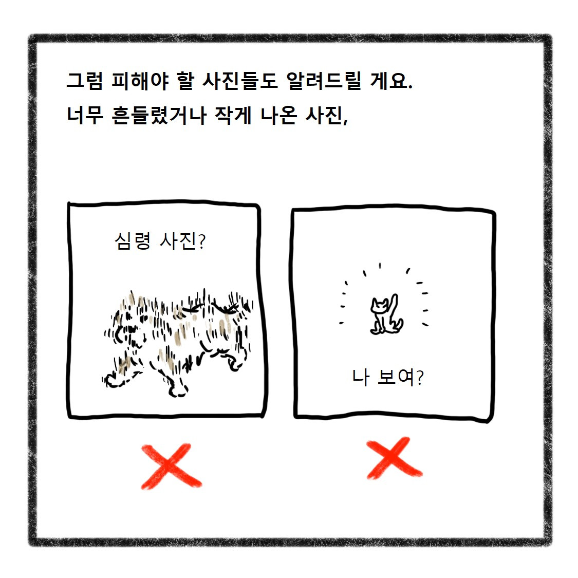 반려동물사진(9).jpg