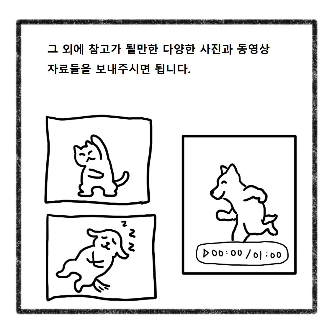 반려동물사진(12).jpg