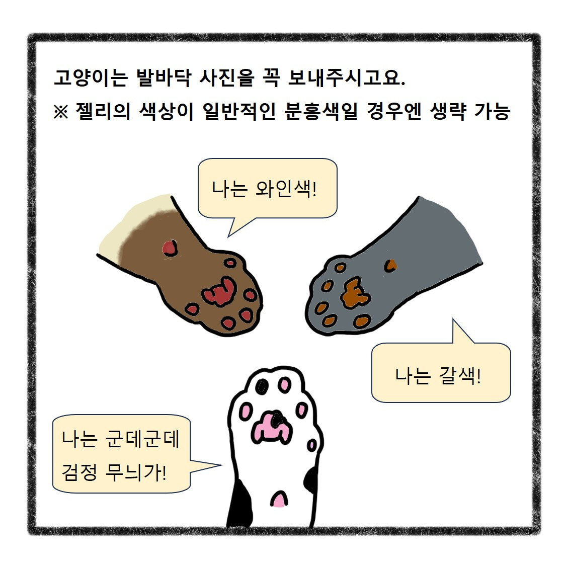 반려동물사진(5).jpg