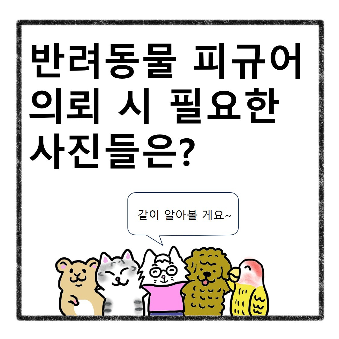 반려동물사진(1).jpg
