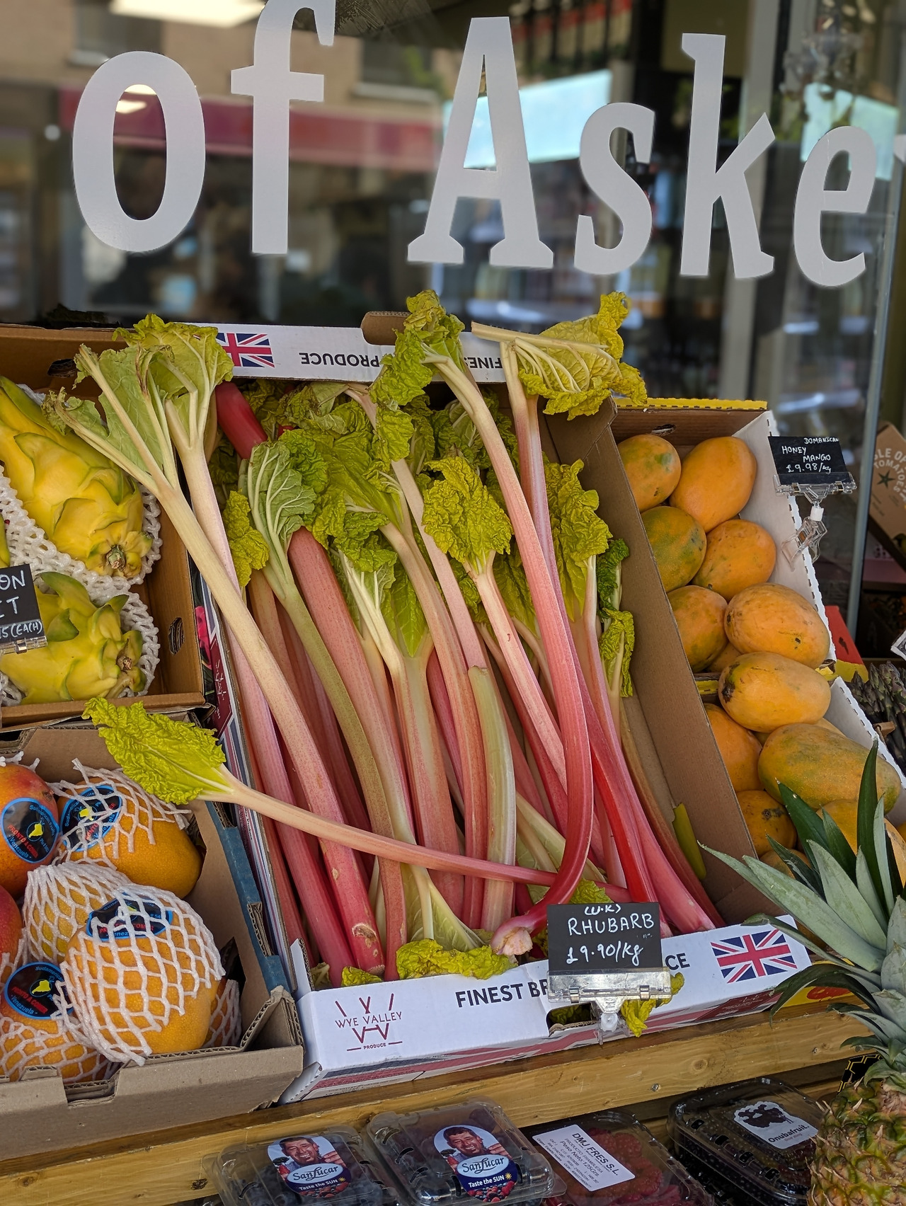 PXL_20250411_095154600.PORTRAIT (1).jpg