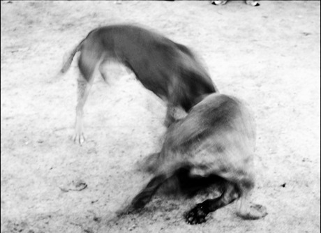 다운로드 (5).jpg