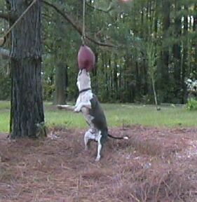 다운로드 (7).jpg