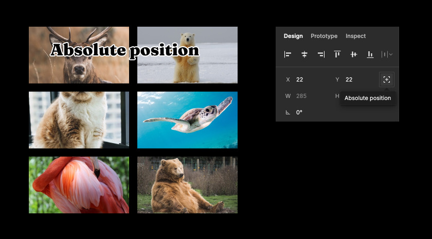 Absolute position.jpg