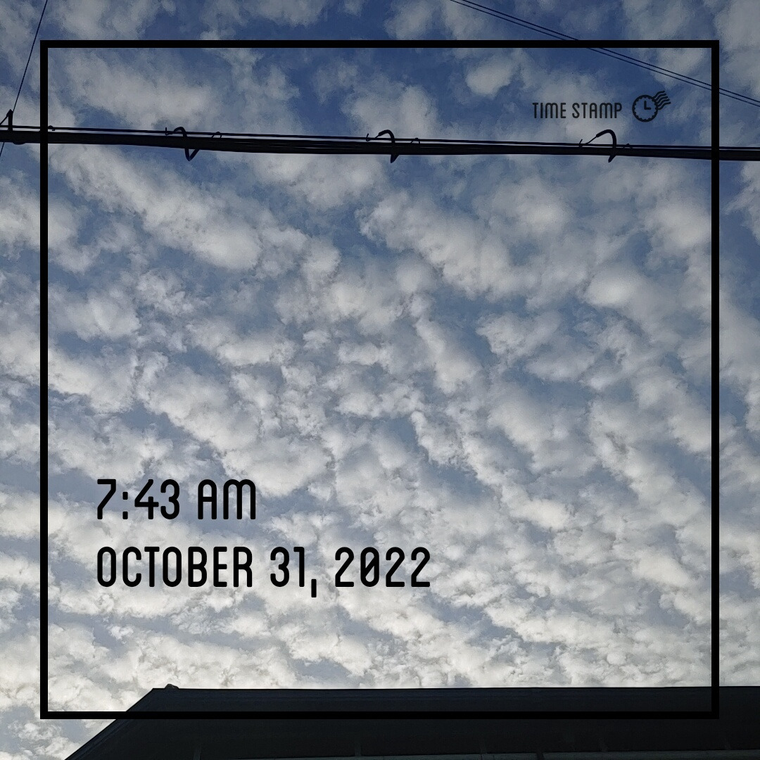 20221031_매일 하늘을 보듯 감탄할 수 있다면.jpg