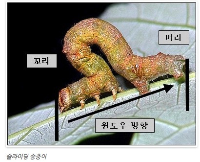 스크린샷 2016-11-15 오전 11.54.00.jpg