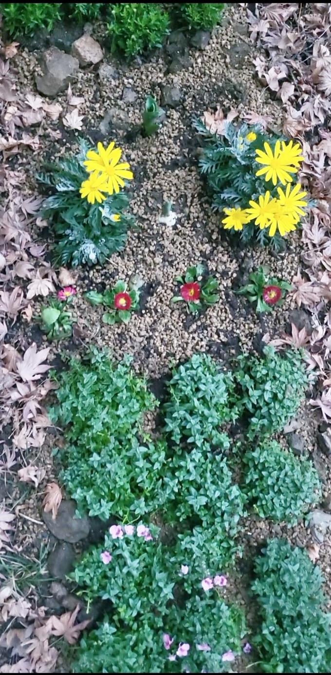 날마다 새로운 시작과 힘.jpg