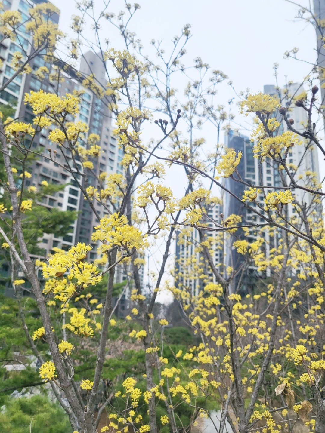 위로부터 오는 힘.jpg