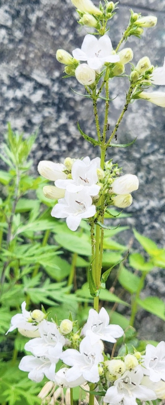 새로운 시작 꿈.jpg