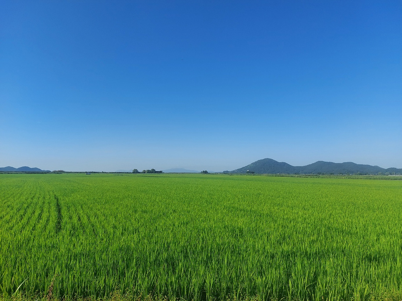 한여름밤의 꿈6.jpg